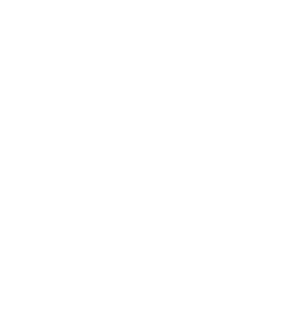 Dolphin Swim Australia