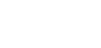 FMS Group