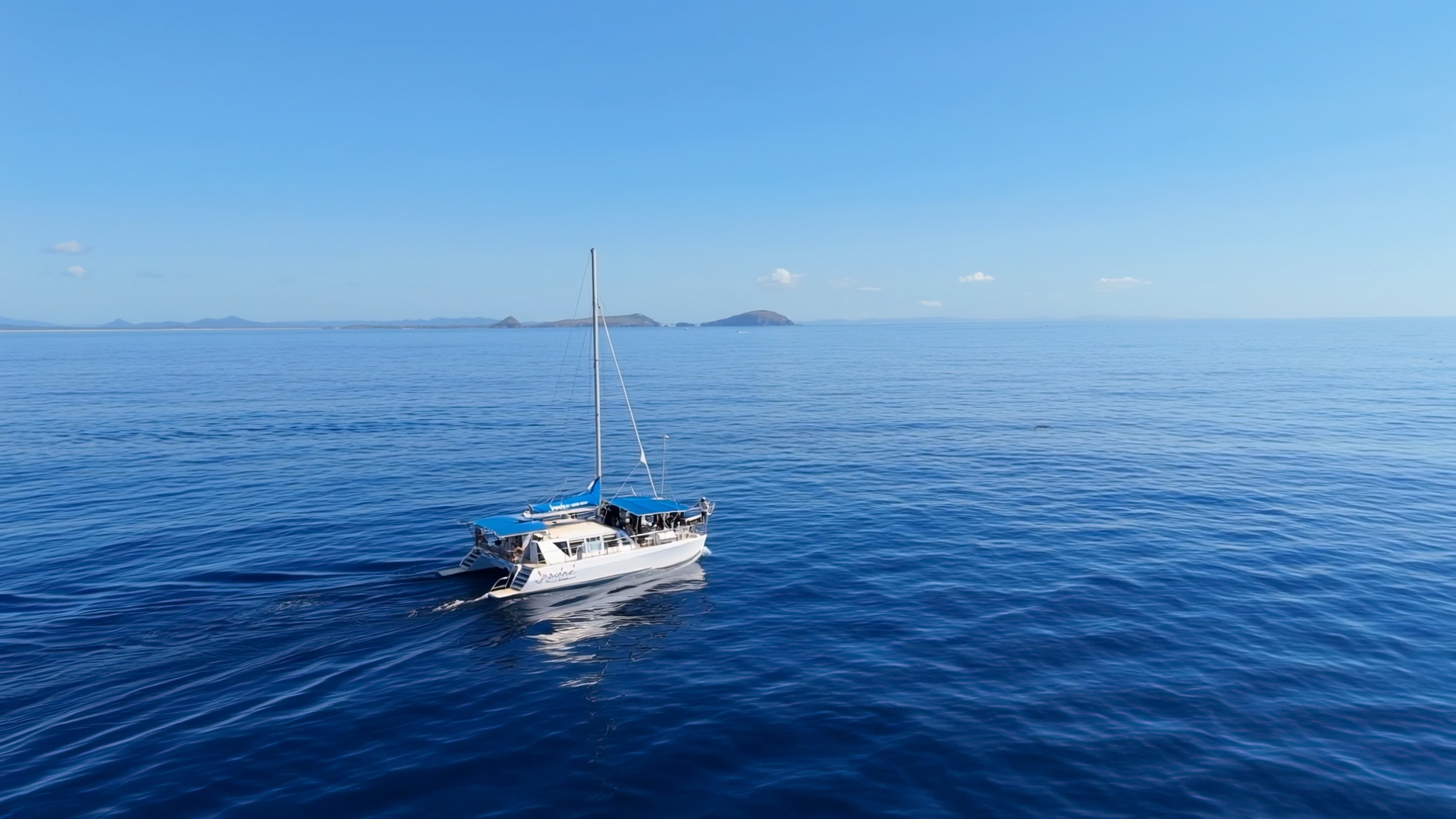 Dolphin Swim Australia — 4K tourism film, Nelson Bay